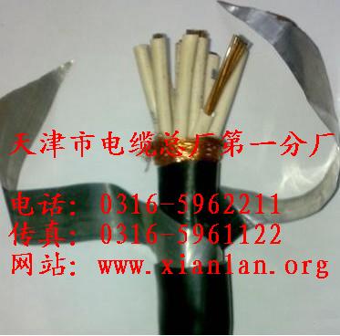 钢带铠装控制电缆